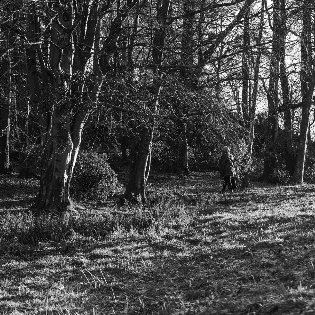 67fcf93549fe1-Linthwaite House - Lifestyle Details (12)@2x